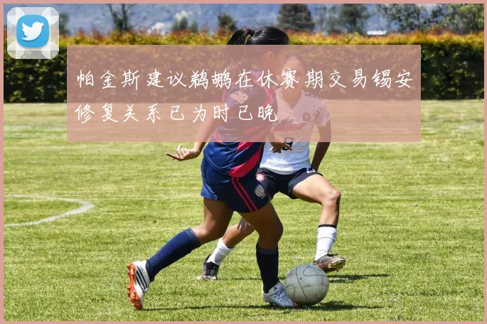 帕金斯建议鹈鹕在休赛期交易锡安修复关系已为时已晚