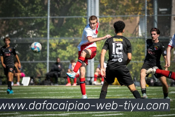 App Interface Preview