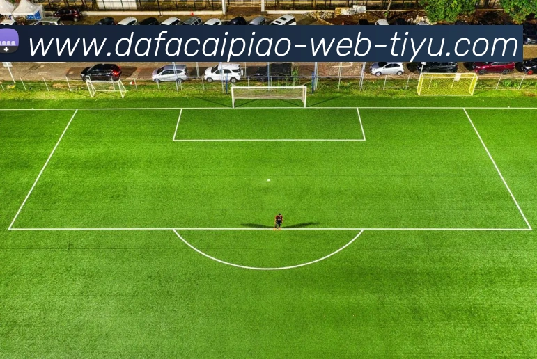 大发彩票APP 封面图